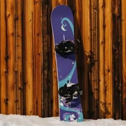Burton 1996 Dolphin Snowboard (Icon Series)
